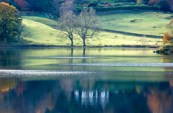 Grasmere reflections