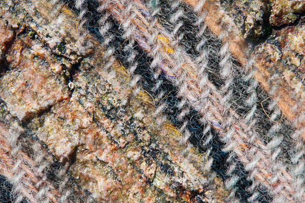 Colours of Tweed No 3