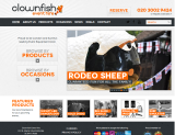 Wedding Event Hirer (Inflatables, Rodeos & Mobile Discos)