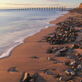 Calm winter morning Dawlish Warren