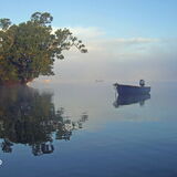 Early morning Coombe Cellars Creek, Teign Estuary.