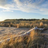 Early morning frost Dawlish Warren