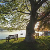 Morning light Ringmore, Teign Estuary