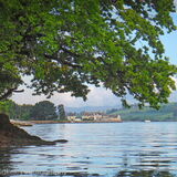 Early morning reflections to Coombe Cellars
