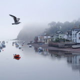 Misty dawn Shaldon