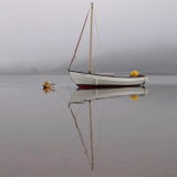 Foggy morning The Embankment, Shaldon