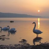 Sunrise Coombe Cellars, Teign Estuary