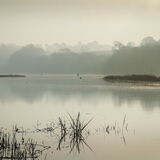 Misty morning Passage House, Teign Estuary