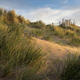 Early morning Dawlish Warren, South Devon