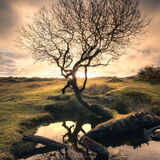 Escape - early morning Dartmoor National Park