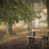 That View - Haldon Forest, Devon