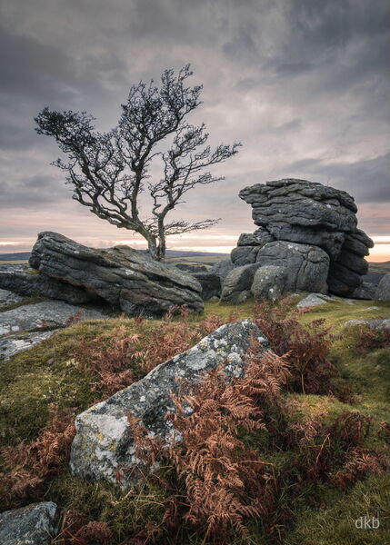 Overcast - Emsworthy Rocks, Dartmoor National Park, Devon