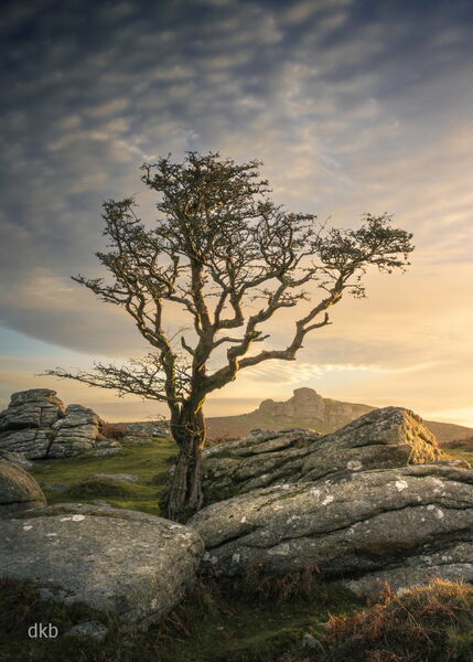 Improvise - Emsworthy Rocks, Dartmoor National Park, Devon