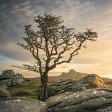 Improvise - Emsworthy Rocks, Dartmoor National Park, Devon