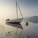 Evening light The Embankment, Shaldon