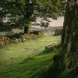 Light & Shadow (four) - Emsworthy Mire, Dartmoor, Devon