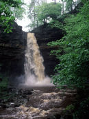 Hardraw Force