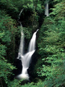 Stckghyll Force