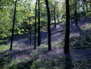 Nature (& the Seasons)