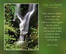 “but whoever drinks of the water that I will give him will never thirst again; but the water that I will give him will become in him a well of water springing up to eternal life.” (John 4:14 WEB)
