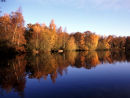 November