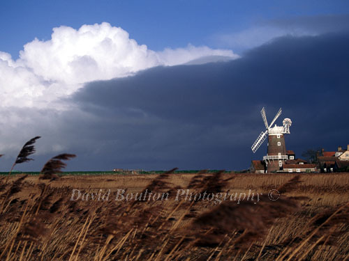 Norfolk