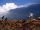 Norfolk
