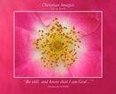 Be still and know that I am God... (Psalms 46.10 WEB)