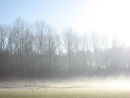 Shafts of morning sunlight & morning mist