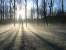 Shafts of winter light