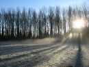 Afternoon frost