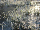 Frost and ice