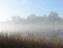 Morning mist