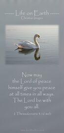 Now may the Lord of peace himself give you peace at all times in all ways. The Lord be with you all. (2 Thessalonians 3:16 WEB)