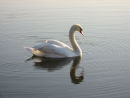 Tranquility