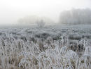 Frosty landscape