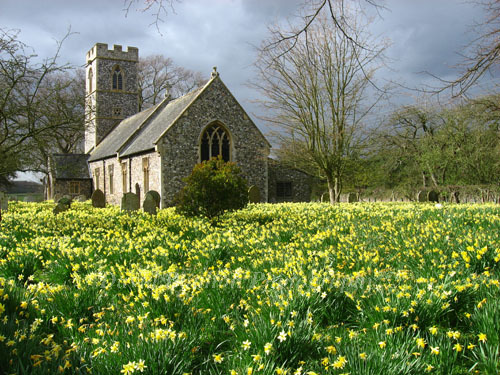Norfolk Churches & their wildlife