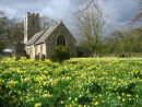 Norfolk Churches & their wildlife