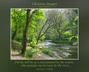 For he will be as a tree planted by the waters, who spreads out its roots by the river, and will not fear when heat comes, but its leaf will be green, and will not be concerned in the year of drought. It won’t cease from yielding fruit. (Jeremiah 17:8 WEB)