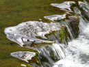 A stream and reflections