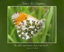 “Be still, and know that I am God…” (Psalms 46:10 WEB)