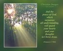 And the peace of God, which surpasses all understanding, will guard your hearts and your thoughts in Christ Jesus. (Philippians 4:7 WEB)