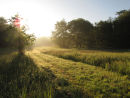Early morning!