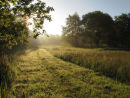 Early morning in June