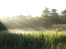 Early morning shafts of sunlight and morning mist
