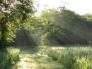 Shafts of morning light