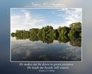 He makes me lie down in green pastures. He leads me beside still waters. (Psalms 23.2 WEB)