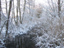 Winter beck