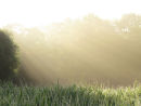Shafts of morning sunlight