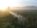Morning mist & dyke at 5.31am